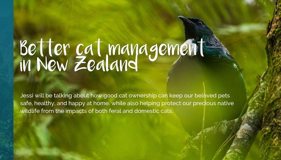 Better cat management in New Zealand hero image